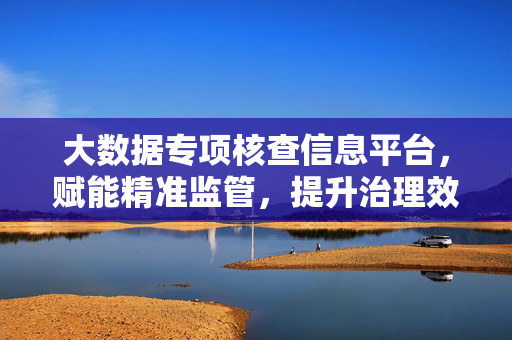大数据专项核查信息平台，赋能精准监管，提升治理效能，大数据专项核查平台，赋能精准监管 提升治理效能