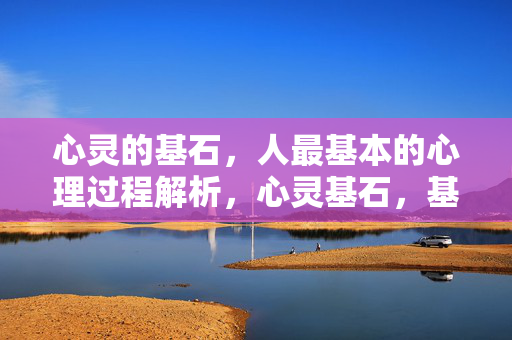 心灵的基石，人最基本的心理过程解析，心灵基石，基本心理过程解析