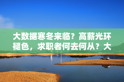 大数据寒冬来临？高薪光环褪色，求职者何去何从？大数据寒冬，高薪褪色，求职者何去何从？