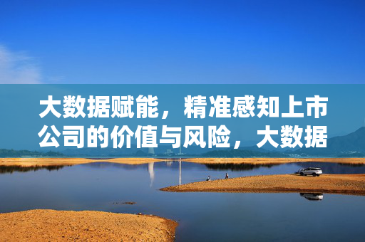 大数据赋能，精准感知上市公司的价值与风险，大数据赋能精准感知上市公司价值与风险