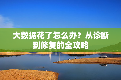 大数据花了怎么办？从诊断到修复的全攻略