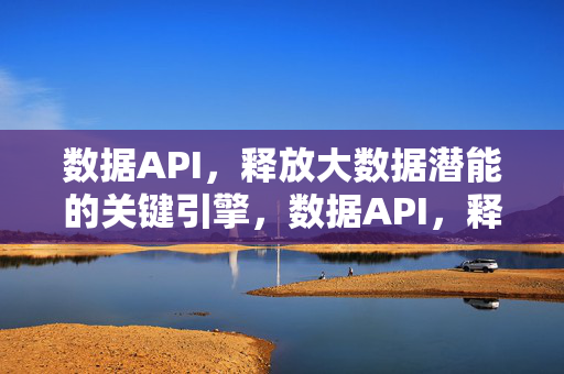 数据API，释放大数据潜能的关键引擎，数据API，释放大数据潜能的关键引擎