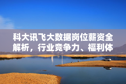 科大讯飞大数据岗位薪资全解析，行业竞争力、福利体系及职业发展路径，科大讯飞大数据岗位，薪资、竞争力、福利与职业发展全解析