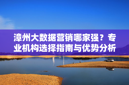 漳州大数据营销哪家强？专业机构选择指南与优势分析，漳州大数据营销机构选择指南与优势分析