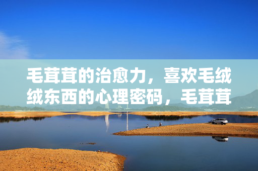毛茸茸的治愈力，喜欢毛绒绒东西的心理密码，毛茸茸的治愈力，喜欢毛绒绒的心理密码
