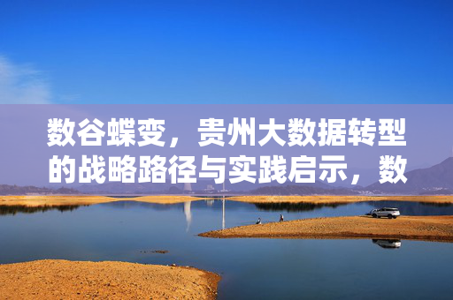 数谷蝶变，贵州大数据转型的战略路径与实践启示，数谷蝶变，贵州大数据转型的战略路径与实践启示