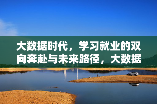 大数据时代，学习就业的双向奔赴与未来路径，大数据时代学习就业的双向奔赴与未来路径