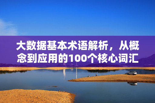 大数据基本术语解析，从概念到应用的100个核心词汇，大数据核心术语100词，从概念到应用解析