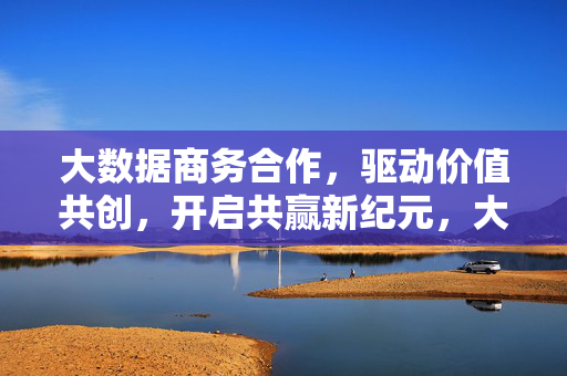 大数据商务合作，驱动价值共创，开启共赢新纪元，大数据商务合作，驱动价值共创，共赢新纪元