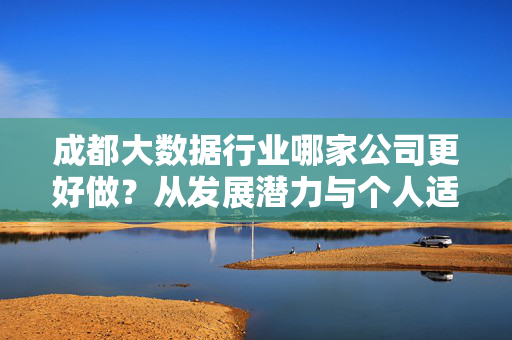 成都大数据行业哪家公司更好做？从发展潜力与个人适配度双维度解析，成都大数据行业公司选择，发展潜力与个人适配度双维度解析
