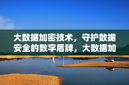 大数据加密技术，守护数据安全的数字盾牌，大数据加密，数据安全的数字盾牌