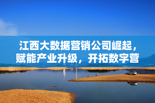 江西大数据营销公司崛起，赋能产业升级，开拓数字营销新蓝海，江西大数据营销公司崛起赋能产业升级 开拓数字营销新蓝海