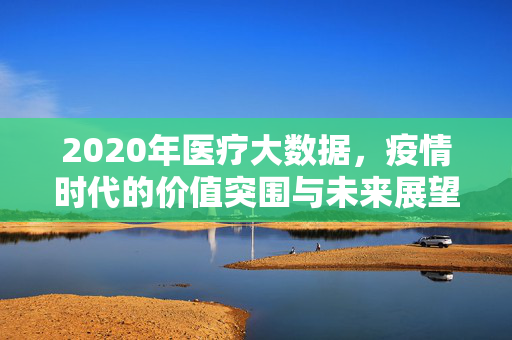 2020年医疗大数据，疫情时代的价值突围与未来展望，疫情时代医疗大数据，价值突围与未来展望
