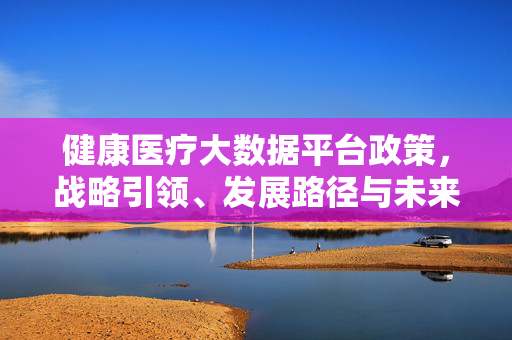 健康医疗大数据平台政策，战略引领、发展路径与未来赋能，健康医疗大数据平台，政策引领、发展路径与未来赋能