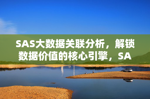 SAS大数据关联分析，解锁数据价值的核心引擎，SAS大数据关联分析，解锁数据价值的核心引擎
