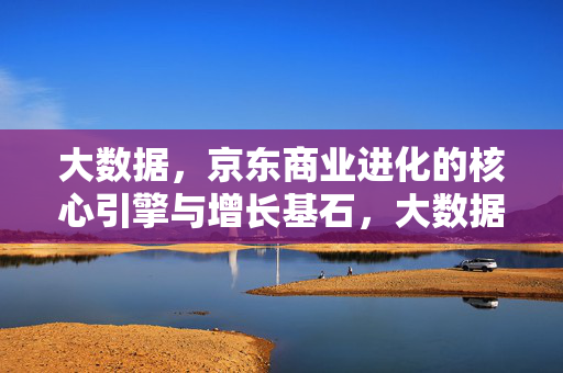 大数据，京东商业进化的核心引擎与增长基石，大数据，京东商业进化的核心引擎与增长基石
