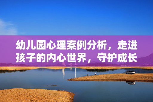 幼儿园心理案例分析，走进孩子的内心世界，守护成长萌芽，幼儿园心理案例分析，走进内心世界，守护成长萌芽