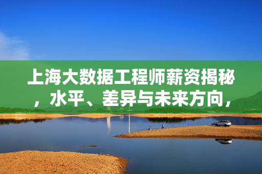 上海大数据工程师薪资揭秘，水平、差异与未来方向，上海大数据工程师薪资揭秘，水平、差异与未来方向