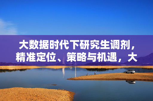 大数据时代下研究生调剂，精准定位、策略与机遇，大数据赋能研究生调剂，精准定位、策略与机遇