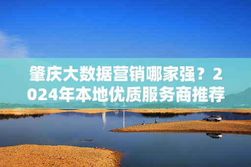 肇庆大数据营销哪家强？2024年本地优质服务商推荐与选择指南，2024年肇庆大数据营销本地优质服务商推荐与选择指南