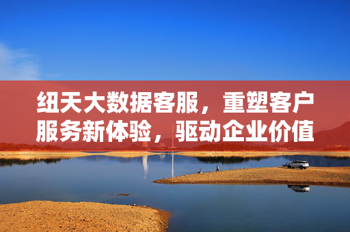 纽天大数据客服，重塑客户服务新体验，驱动企业价值增长，纽天大数据客服，重塑客户服务新体验，驱动企业价值增长