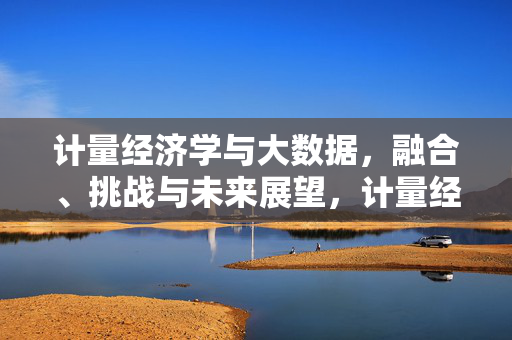 计量经济学与大数据，融合、挑战与未来展望，计量经济学与大数据，融合、挑战及未来展望