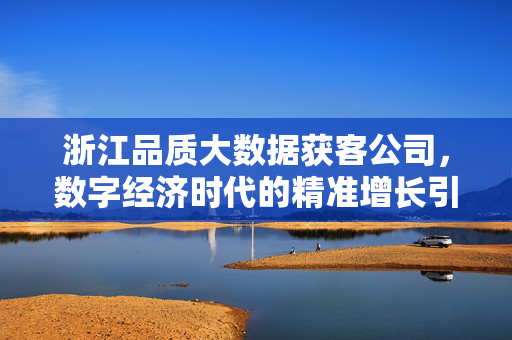 浙江品质大数据获客公司，数字经济时代的精准增长引擎，浙江品质大数据获客，数字经济精准增长引擎