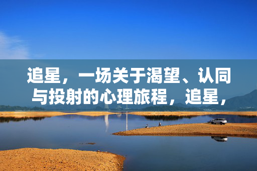 追星，一场关于渴望、认同与投射的心理旅程，追星，渴望、认同与投射的心理旅程