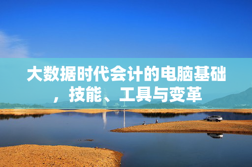 大数据时代会计的电脑基础，技能、工具与变革