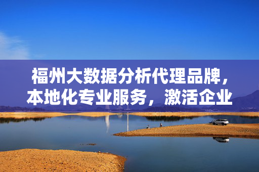 福州大数据分析代理品牌，本地化专业服务，激活企业数据价值，福州本地化大数据分析代理，专业服务激活企业数据价值