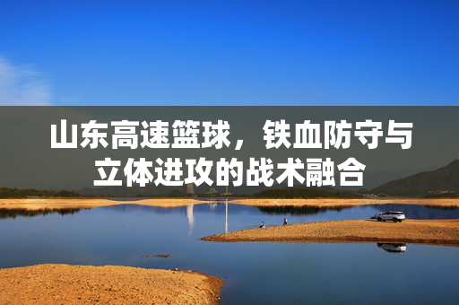 山东高速篮球，铁血防守与立体进攻的战术融合
