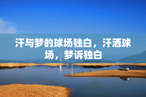 汗与梦的球场独白，汗洒球场，梦诉独白