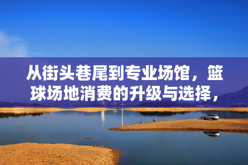 从街头巷尾到专业场馆，篮球场地消费的升级与选择，篮球场地消费升级，从街头巷尾到专业场馆的选择