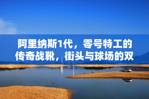 阿里纳斯1代，零号特工的传奇战靴，街头与球场的双生印记，阿里纳斯1代，街头与球场的零号特工传奇战靴