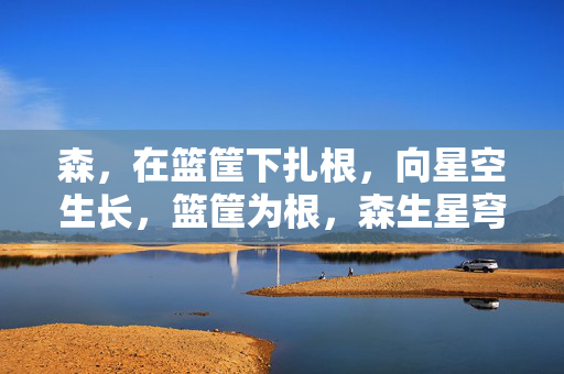 森，在篮筐下扎根，向星空生长，篮筐为根，森生星穹