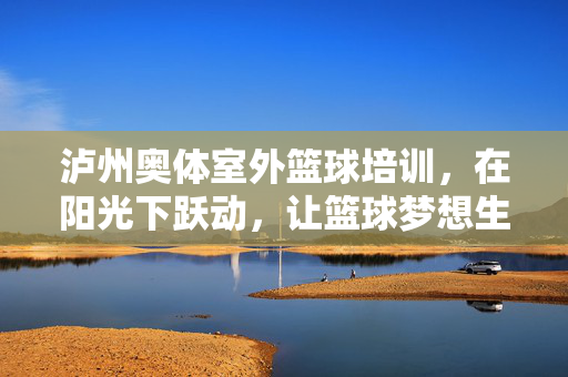 泸州奥体室外篮球培训，在阳光下跃动，让篮球梦想生根发芽，泸州奥体室外篮球，阳光下跃动，梦想生根发芽