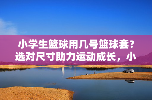 小学生篮球用几号篮球套？选对尺寸助力运动成长，小学生篮球套尺寸，选对助力运动成长