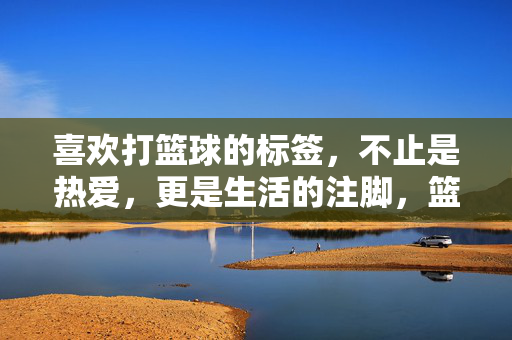 喜欢打篮球的标签，不止是热爱，更是生活的注脚，篮球标签，从热爱到生活的注脚
