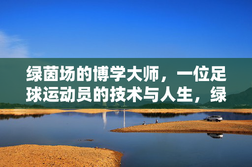 绿茵场的博学大师，一位足球运动员的技术与人生，绿茵场的博学大师，一位足球运动员的技术与人生