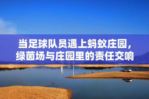当足球队员遇上蚂蚁庄园，绿茵场与庄园里的责任交响曲，绿茵场与庄园的责任交响曲