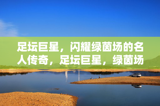 足坛巨星，闪耀绿茵场的名人传奇，足坛巨星，绿茵场上的名人传奇