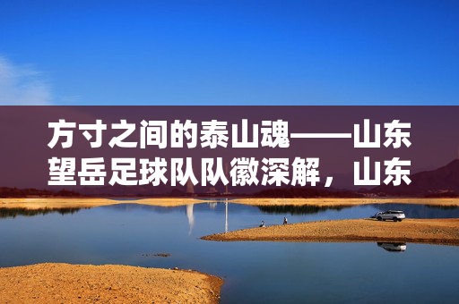 方寸之间的泰山魂——山东望岳足球队队徽深解,山东望岳队徽,方寸间的泰山魂