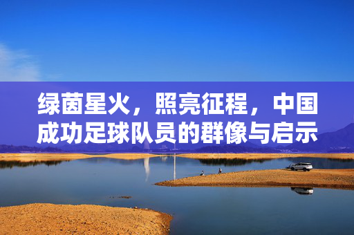 绿茵星火，照亮征程，中国成功足球队员的群像与启示，绿茵星火照亮征程，中国足球成功群像启示