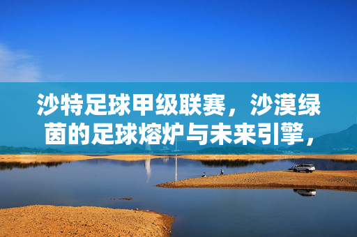 沙特足球甲级联赛，沙漠绿茵的足球熔炉与未来引擎，沙特足球甲级联赛，沙漠绿茵的熔炉与未来引擎