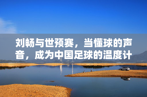 刘畅与世预赛，当懂球的声音，成为中国足球的温度计，刘畅与世预赛，懂球声成中国足球温度计
