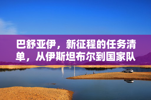 巴舒亚伊,新征程的任务清单,从伊斯坦布尔到国家队红魔的再出发,巴舒亚伊新征程任务清单,从伊斯坦布尔到国家队红魔再出发