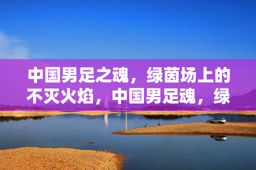 中国男足之魂,绿茵场上的不灭火焰,中国男足魂,绿茵不灭火焰