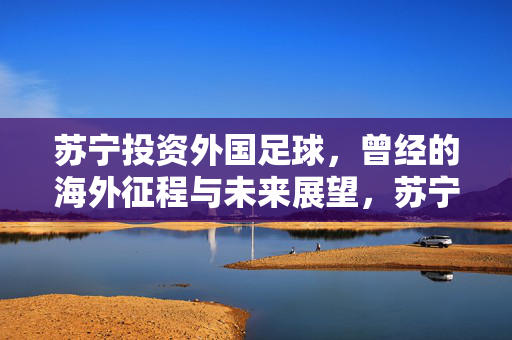 苏宁投资外国足球，曾经的海外征程与未来展望，苏宁海外足球投资，征程与未来展望