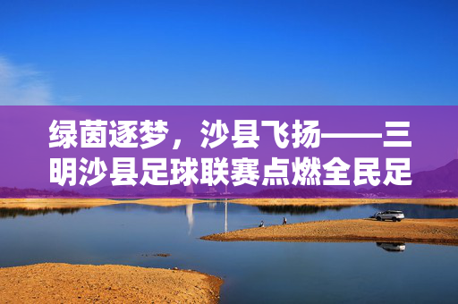 绿茵逐梦，沙县飞扬——三明沙县足球联赛点燃全民足球热情，绿茵逐梦，沙县飞扬——三明沙县足球联赛点燃全民足球热情