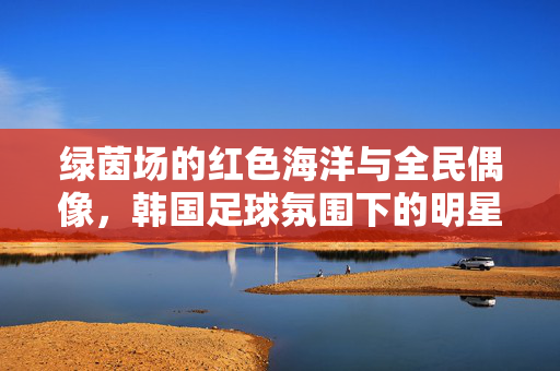 绿茵场的红色海洋与全民偶像，韩国足球氛围下的明星之光，红色海洋中的全民偶像，韩国足球的明星之光